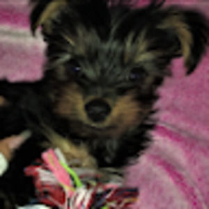 Meet your Posher, Kiera